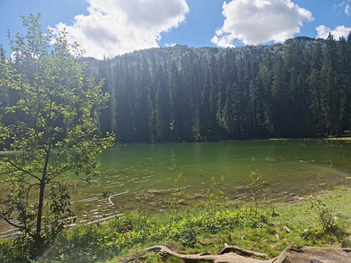 Holiday Home Mountain Zabljak  Luaran gambar